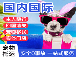 塔城千泉航空快递国际宠物托运 【国